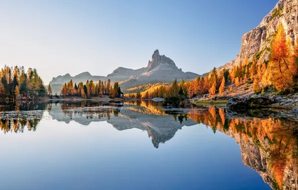 Picture autumn, trees, mountains, lake, reflection, Italy, panorama, Italy