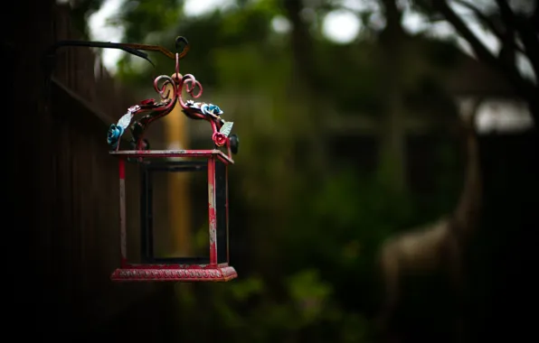 Flowers, lantern, hanging
