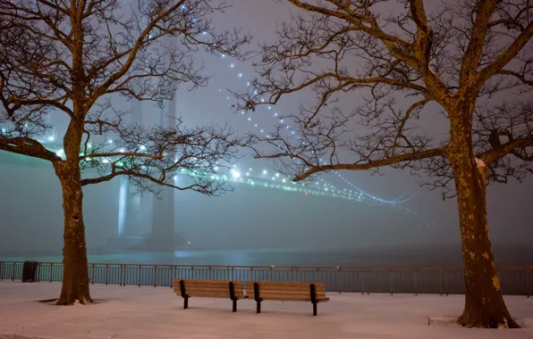 Snow, trees, bridge, lights, fog, Park, the evening, benches