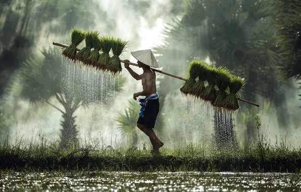 Nature, Thailand, Man, People
