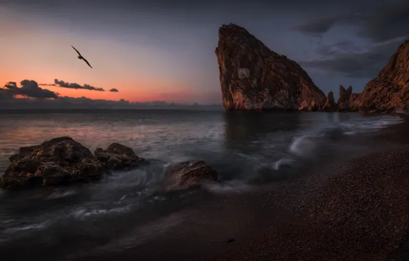 Sea, landscape, sunset, rocks, bird, shore, Crimea, Diva