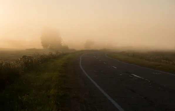 Picture road, field, nature, fog, morning