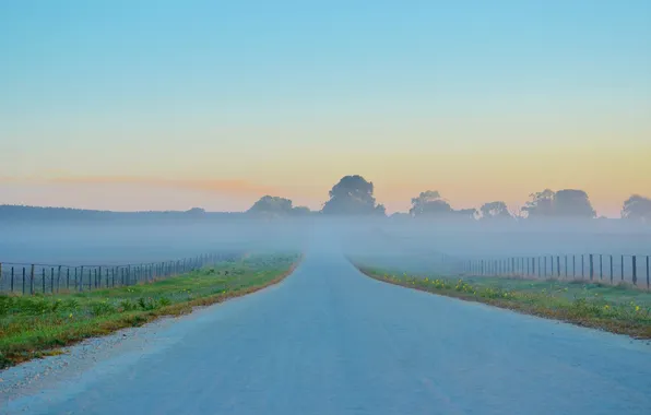 Road, the sky, trees, fog, sunrise, the fence