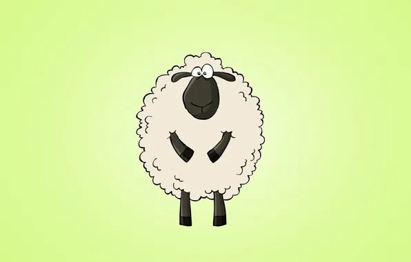 Animal, light background, sheep, sheep, amazing look