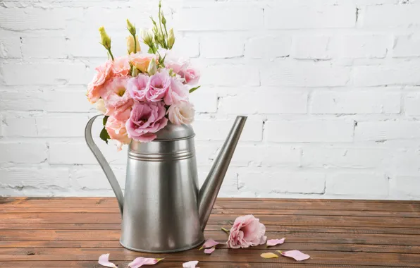 Petals, Bouquet, eustoma