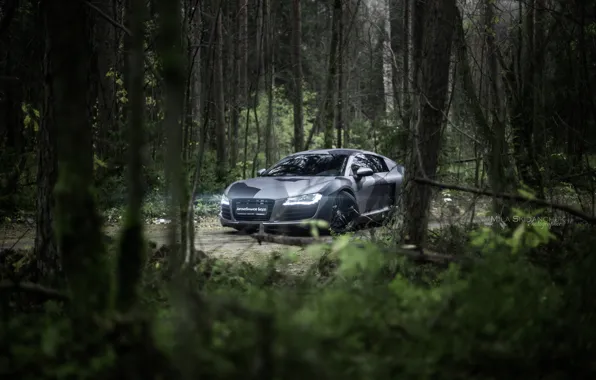 Car, machine, auto, forest, fog, rain, Audi, audi