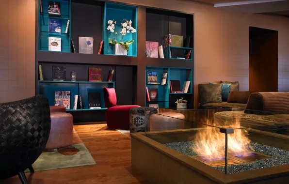 Flowers, fire, books, interior, chairs, sofas, shelves