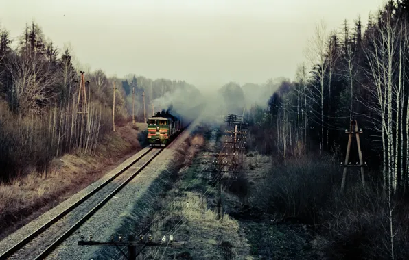 Rails, train, cars, composition