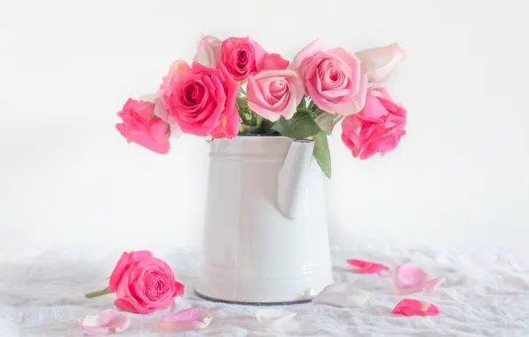 Roses, petals, kettle, white background, pink