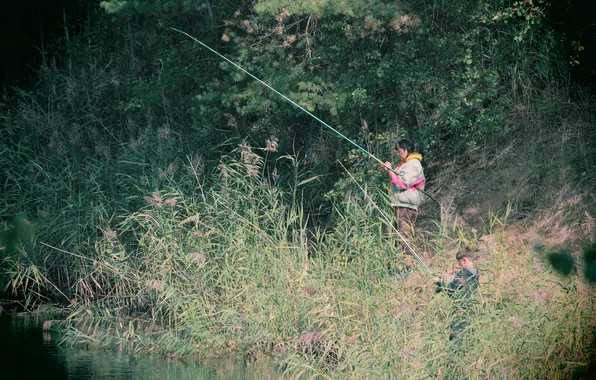 Lake, shore, reed, fishermen, fishing rods