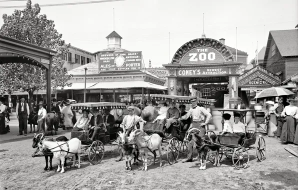 Picture retro, USA, zoo