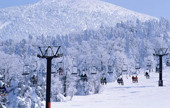 Picture winter, forest, snow, mountains, people, stay, ski, lift