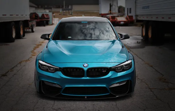 BMW, Blue, Front, Face, F80, Sight