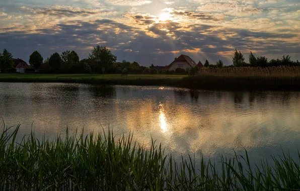 Grass, the sun, clouds, light, trees, sunset, lake, house