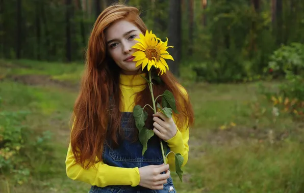Forest, flower, nature, beautiful, redhead, cute, sunflower, pornstar
