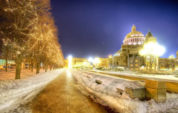 Snow, trees, night, lights, Boston, Night