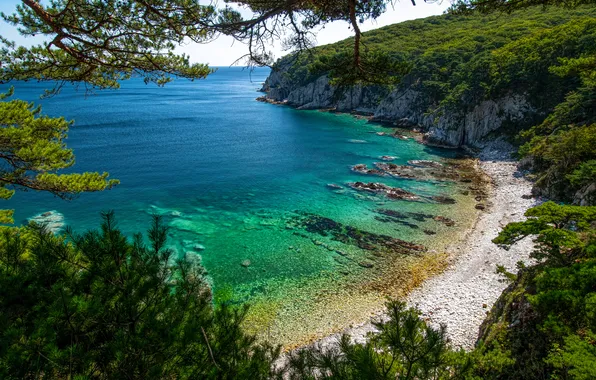 Colors, water, rocks, vegetation, cliff, water mirror