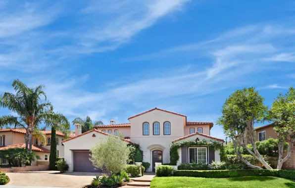 Road, the sky, the sun, design, palm trees, lawn, street, home