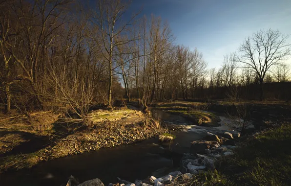 Landscape, nature, river, spring, morning