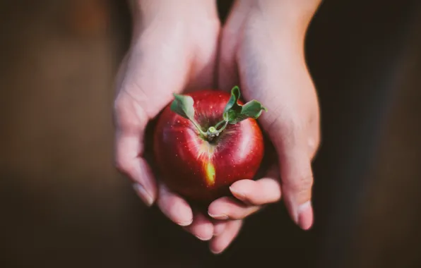 Red, Apple, hands