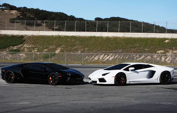 Picture white, the sky, grass, black, slope, the fence, white, lamborghini