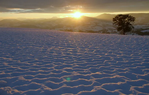 Winter, the sky, the sun, clouds, snow, sunset, mountains, tree