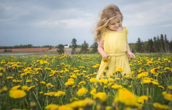 Picture flowers, nature, mood, meadow, girl, dandelions