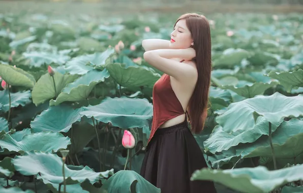 Picture leaves, girl, flowers, pose, hands, Lotus, Asian, long hair