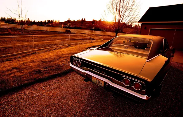 Picture sunset, Dodge, Charger, 1968, R/T