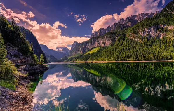 Forest, summer, water, mountains, nature, lake
