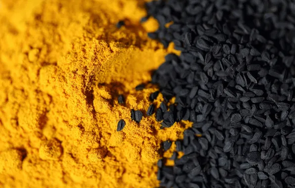 Macro, seasoning, herbs and spice