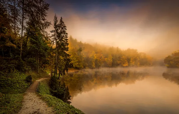 Picture autumn, forest, trees, fog, lake, path, Croatia, Trakoscan