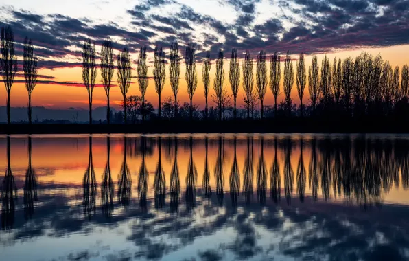The sky, water, reflection, trees, sunset, the evening, Italy, silhouettes