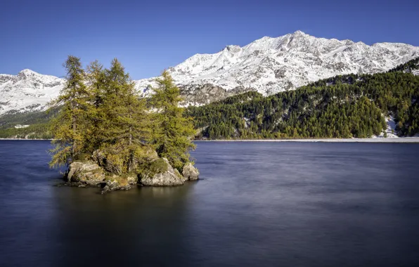 Snow, trees, mountains, lake, island, Switzerland, Lake Sils, Upper Engadin