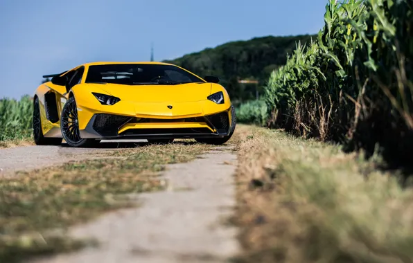 Picture Lamborghini, Aventador, LP-750