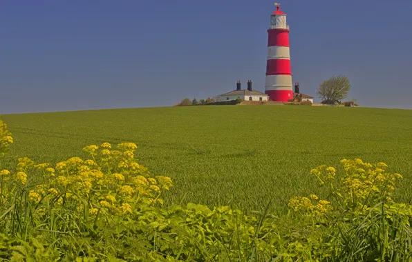 Picture field, lighthouse, England, home