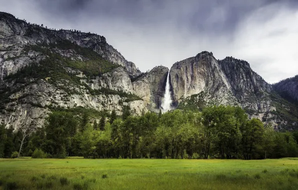 Field, forest, landscape, mountains, nature, rock, waterfall, beauty