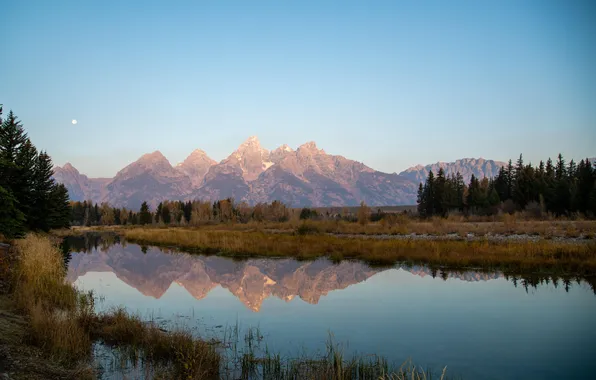Forest, the sky, grass, trees, landscape, mountains, nature, lake