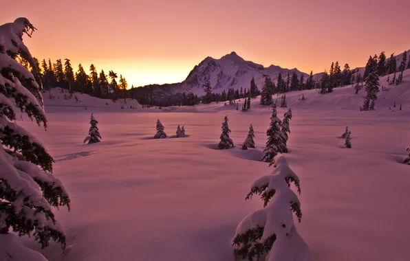 The sky, snow, trees, sunset, mountain, Winter