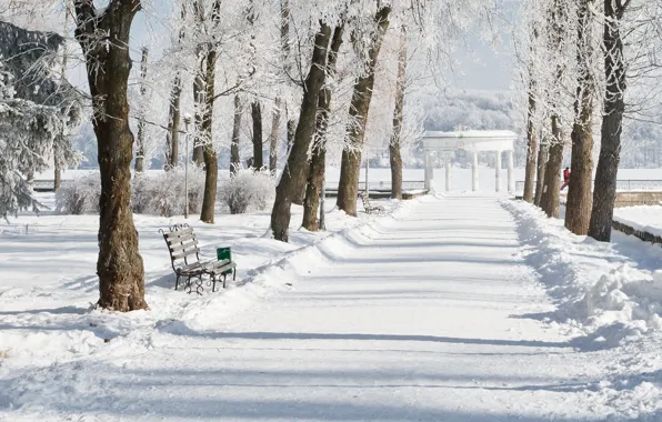 Winter, snow, Park