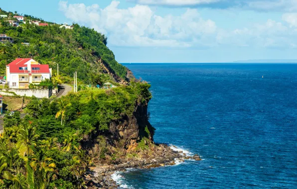 Sea, the sky, the sun, clouds, tropics, stones, palm trees, rocks