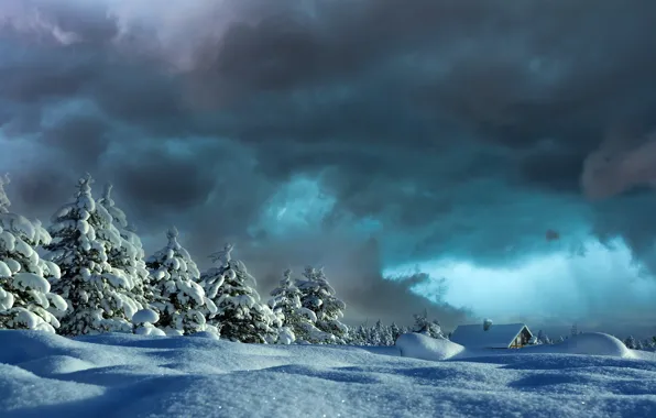 Winter, the sky, the sun, snow, trees, tree, home