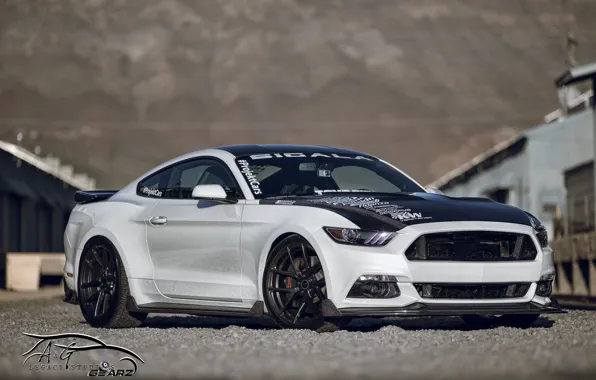 Picture Mustang, Ford, Vorsteiner, V-FF 101