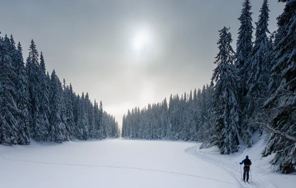 Picture snow, sport, skier