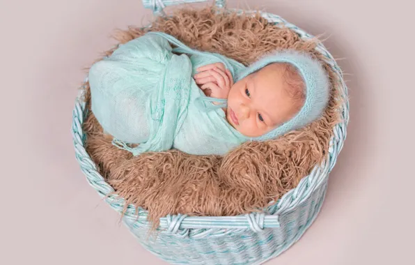 Boy, baby, fur, cocoon, basket, cap, baby