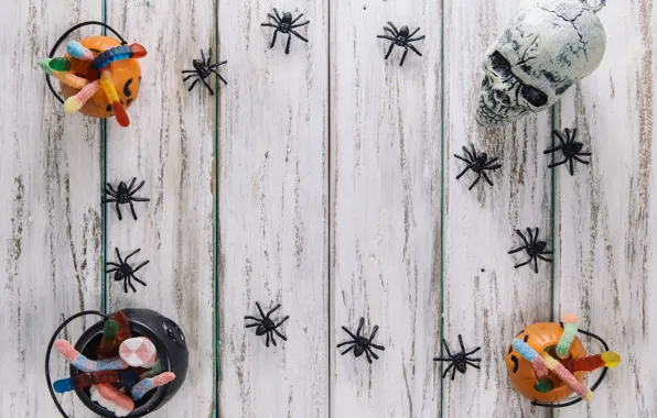 Holiday, skull, spider, Halloween, marmalade
