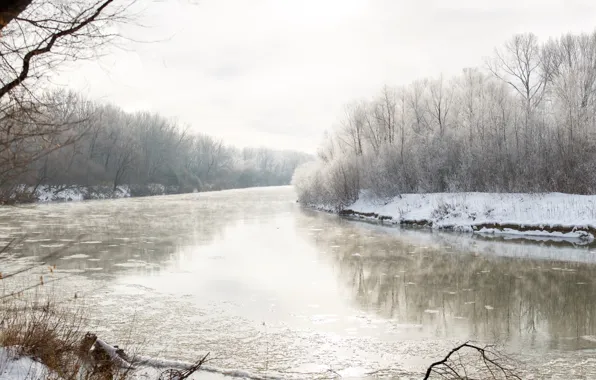 Picture winter, snow, River, haze, RUBTSOVSK, photographer Alexander butchers