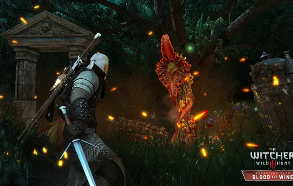 Game, DLC, RPG, CD Projekt RED, The Witcher 3: Wild Hunt, developer, Blood and Wine