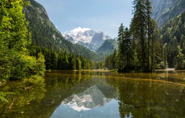 Forest, the sky, the sun, trees, mountains, lake, rocks, Austria