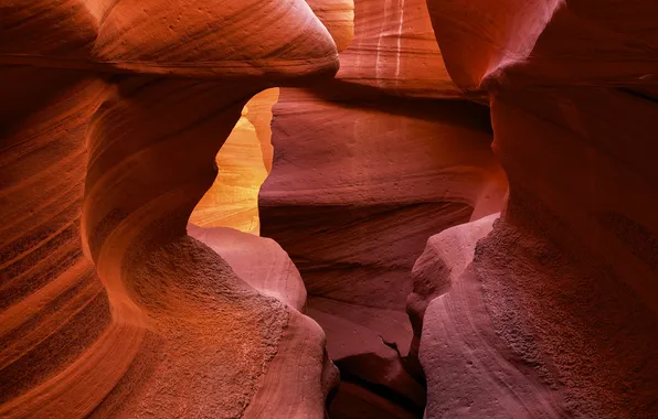 Light, paint, AZ, gorge, USA, antelope canyon